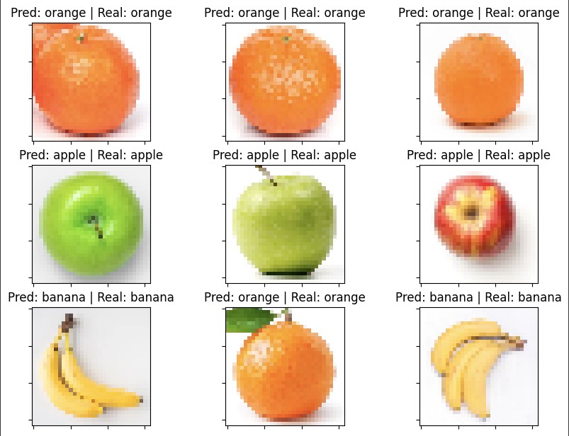 fruits
